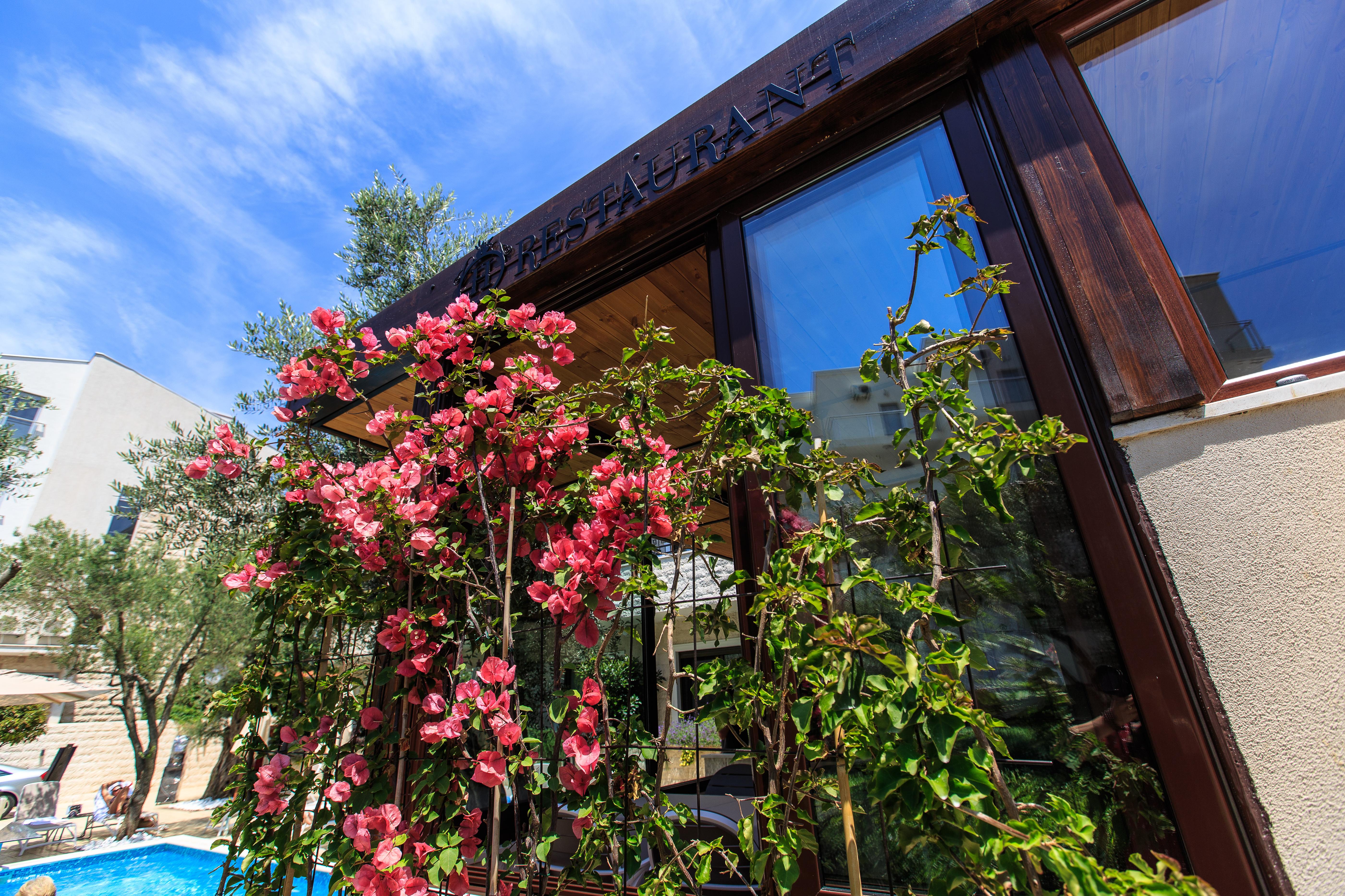 Hotel Harmony By Aycon Petrovac Ngoại thất bức ảnh